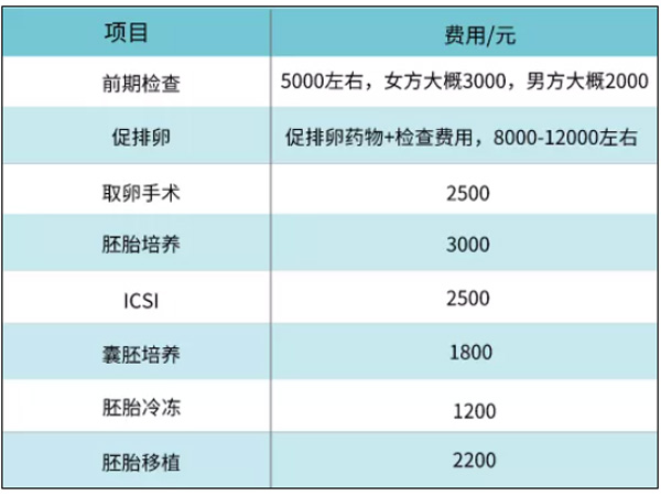 河北燕达医院试管婴儿收费参考标准