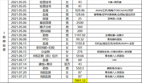 前期检查花费情况表