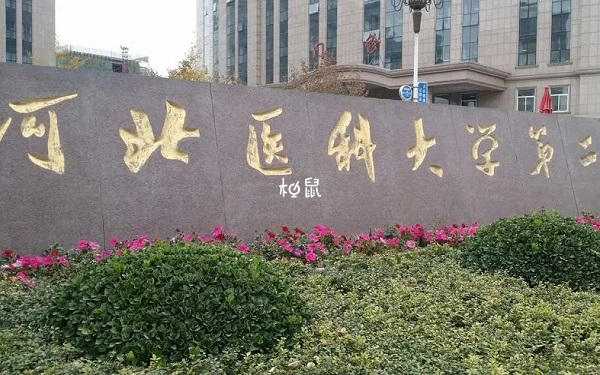 河北医科大学试管医生