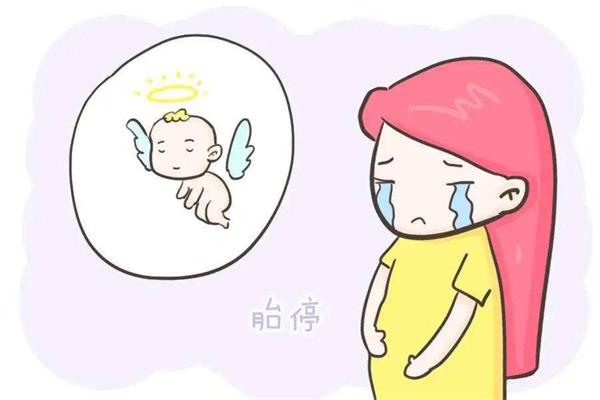 试管怀孕与自然怀孕的胎停率相同