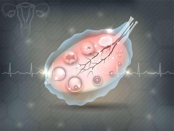 多数卵泡发育10mm以上即可打夜针