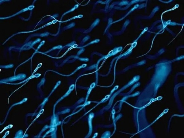男方hiv阳性洗精试管要10-20万元