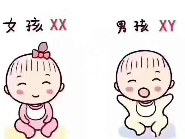 试管通常不能选性别